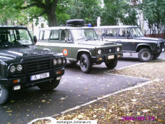 3 poze cu aro 24x